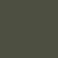 BS381-241 Dark Green Aerosol Paint